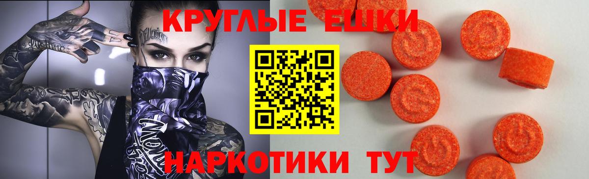 A PVP Коряжма