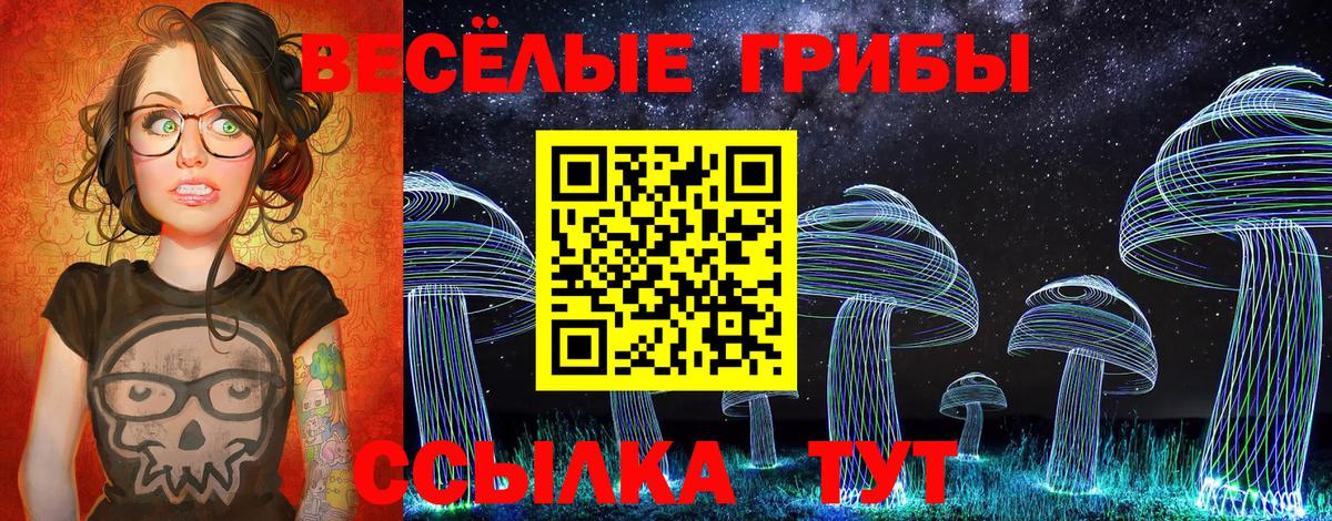 Галлюциногенные грибы GOLDEN TEACHER Коряжма