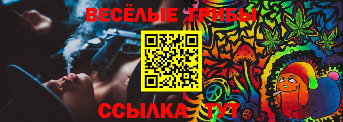 Галлюциногенные грибы ЛСД  Галлюциногенные грибы прущие грибы  Вход с VPN  Коряжма 